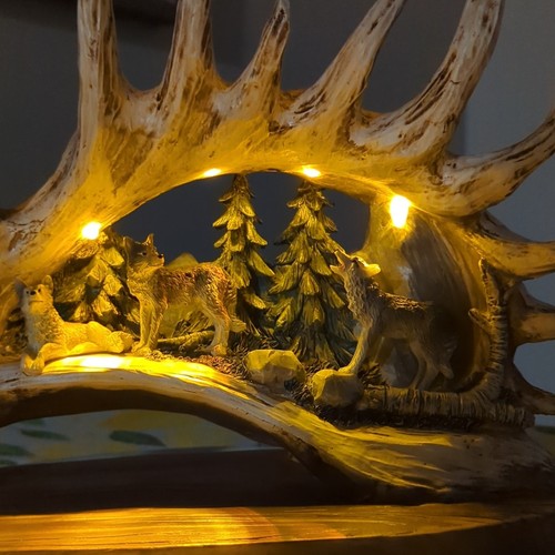 Light the wilderness - up,