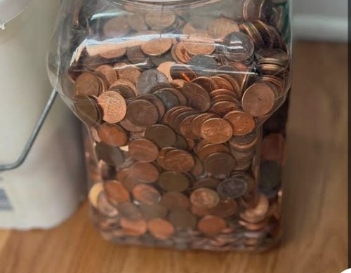 000 unsearched pennies bulk - ,