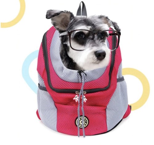 Sport pet backpack carrier dog - carrier,