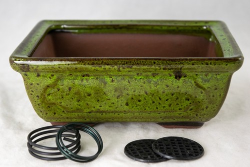 Rectangular glazed succulent - rectangular,
