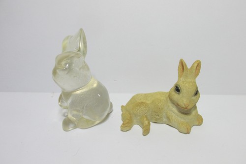 Adorable bunny rabbit - bunny,