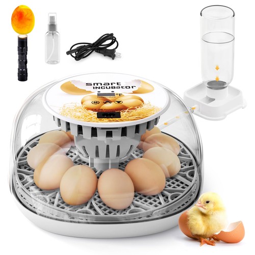 Egg incubator for hatching - incubator,