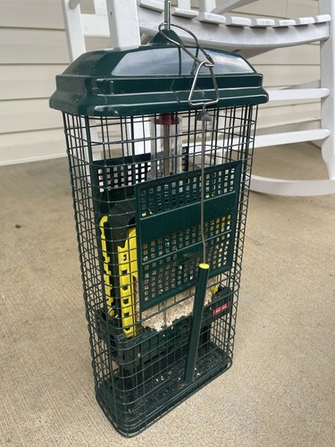 Brome squirrel buster - squirrel, suet