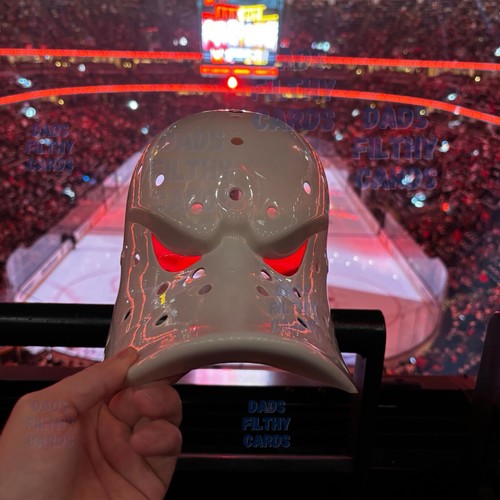 Anaheim mighty ducks nhl - anaheim,