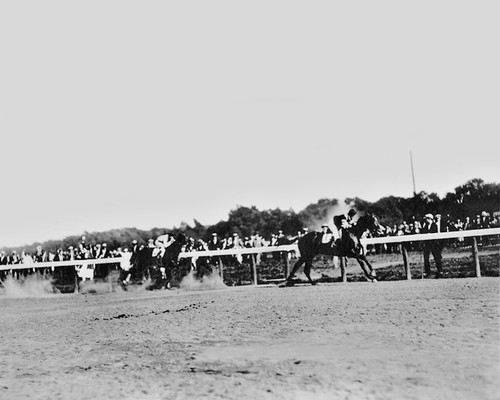 1920 champion racehorse - 1920, o