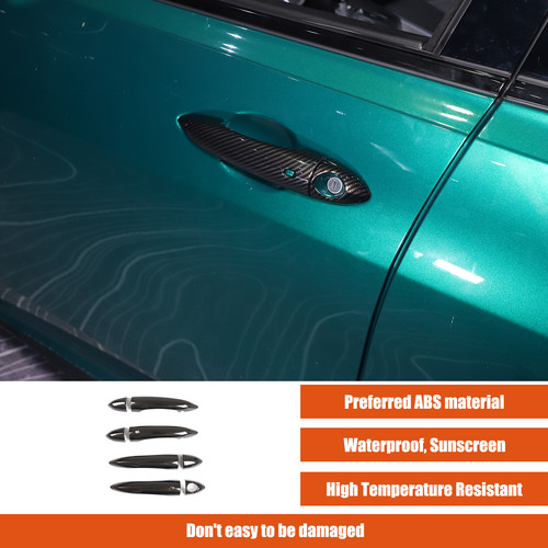 Abs carbon door grab - abs, handle