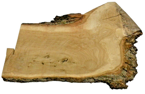 Walnut slab milled - milled, kiln