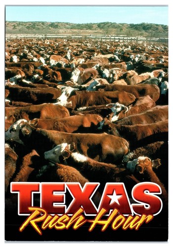 Texas rush hour huge - huge, of