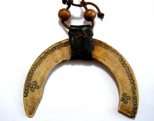 Antique wild boar tusk pacific - tusk,