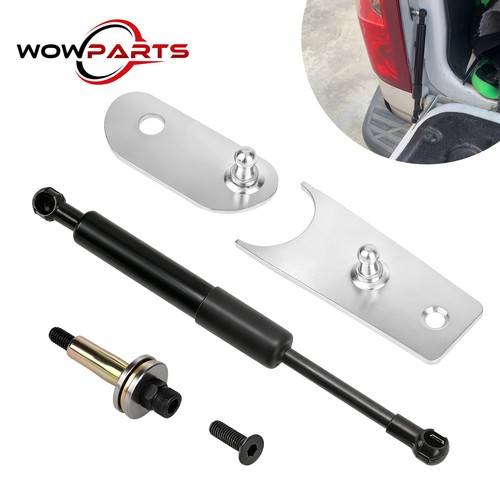 Tailgate assist shock - tailgate, strut