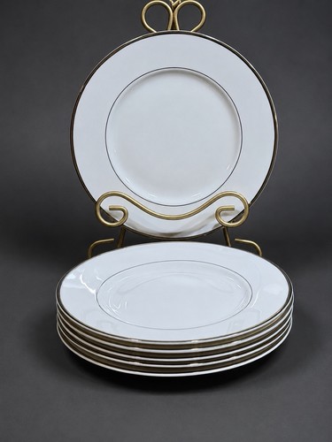 Mikasa cameo platinum hk301 - platinum,