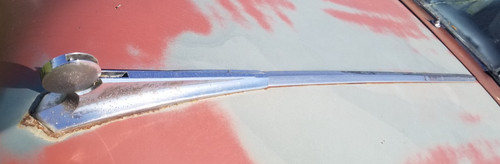 Hood ornament seam - hood,