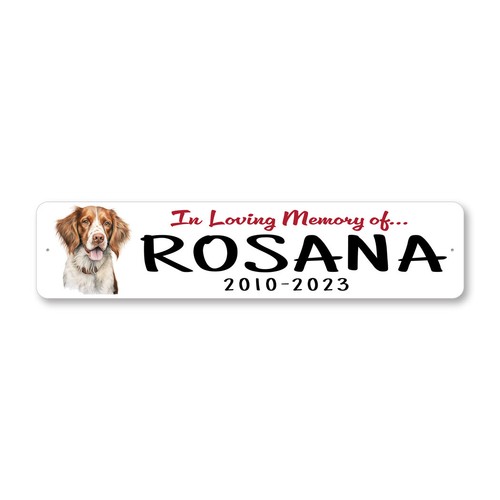 Brittany spaniel loving - brittany,