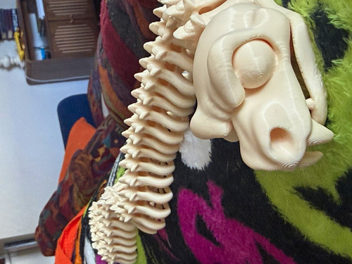 Snake skeleton anatomical - skeleton,