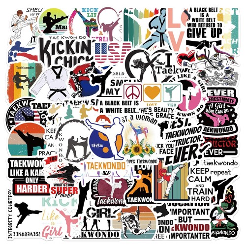 Pcs kung stickers karate - 50,