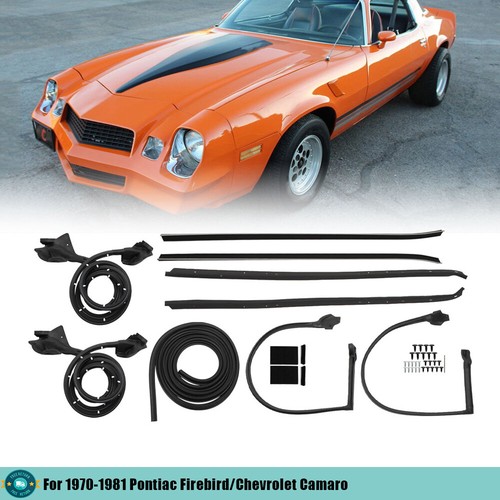 Suit for pontiac - for,