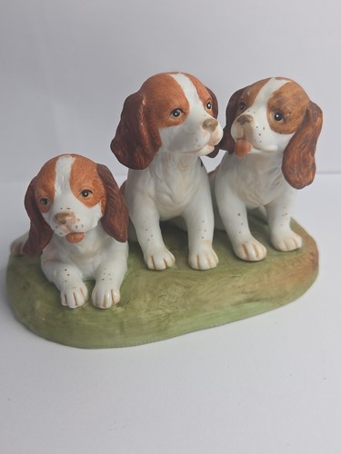 Brittany pups forever nature - brittany,