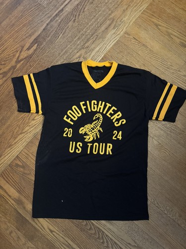 Foo fighters 2024 tour dave - fighters,