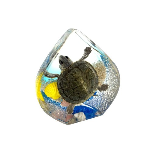 Real tortoise resin - real,