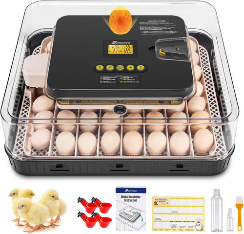Egg incubator for hatching - egg,