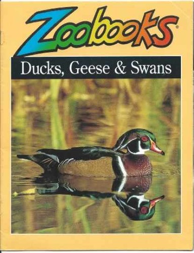 Ducks geese swans zoobooks - geese, (zoobooks