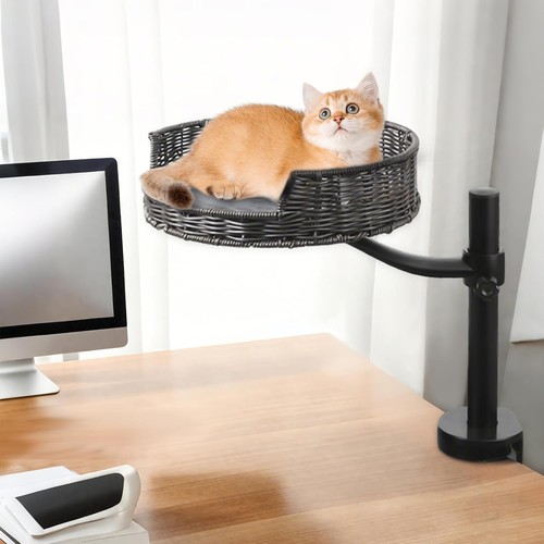 Indoor elevated cat desk bed - indoor,