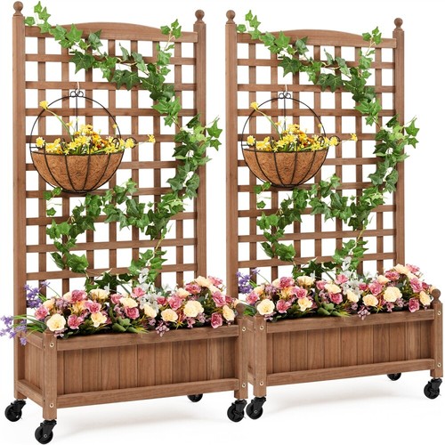 Raised garden bed - garden, with