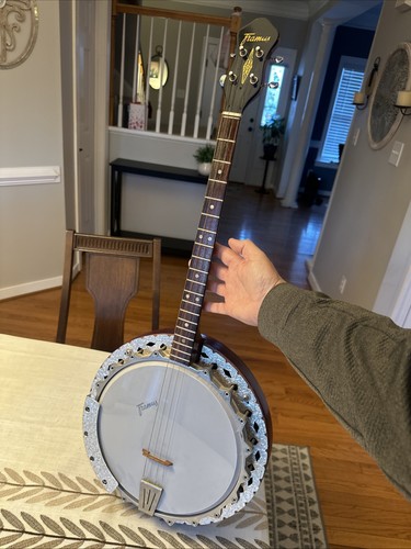 Vintage framus string tenor - vintage,