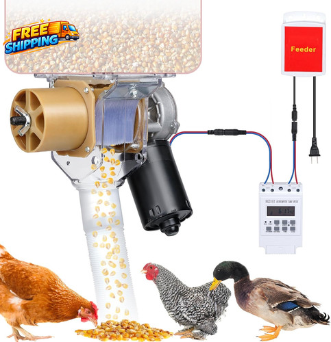 Timed automatic chicken - timed, feeder