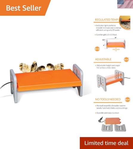 Large chicken brooder heater - large,