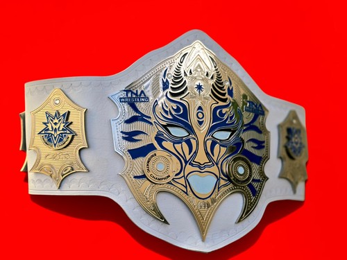 Tna jeff hardy title - hardy,