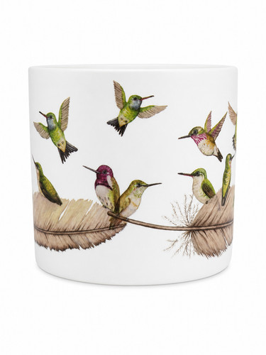 Hummingbird ceramic planter - ceramic,