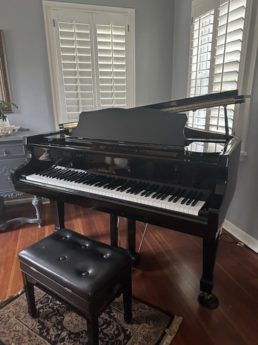 Polished ebony baby - baby, grand