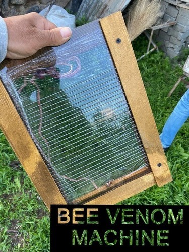 Bee venom collector machine - collector,