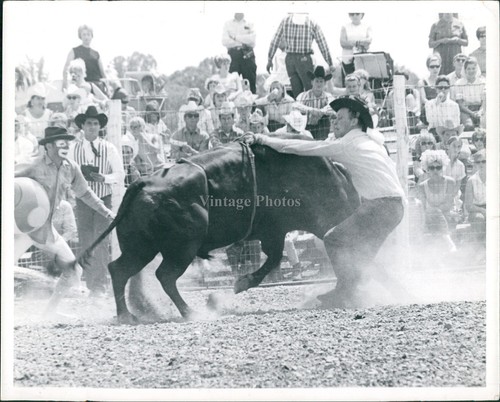 Rodeo bull rider crowd - rider,