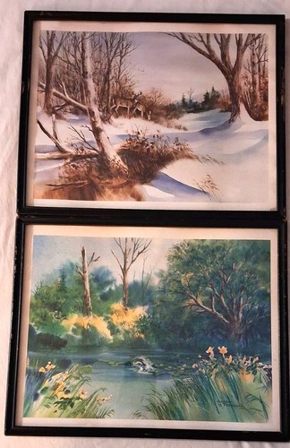 1976 nature watercolor framed - nature,