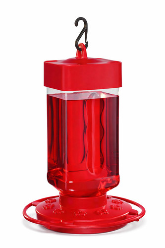 First nature hummingbird - first, 32