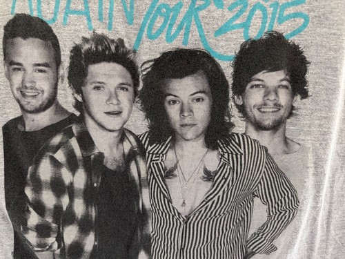 2015 one direction small - one, t