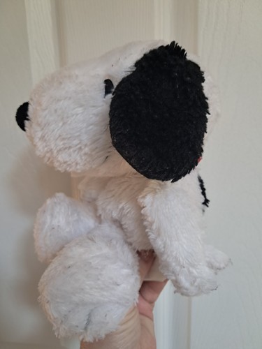 Hallmark peanuts gang - gang, snoopy