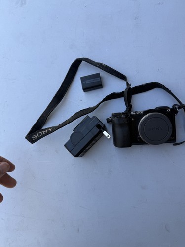 Sony nex 3mp mirrorless - nex-7, 24.3mp