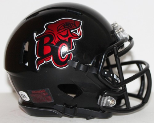 2022 cfl lions custom - lions,
