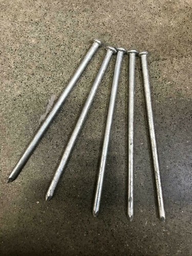 12in nail spikes - nail,