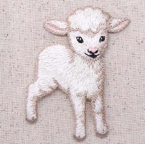 White lamb little baby sheep - little,