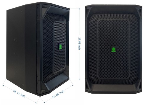 Singtronic professional 6000w - professional,
