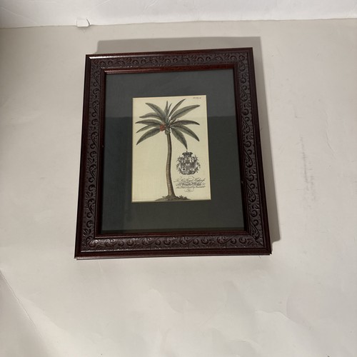 Wood framed palm tree - framed,