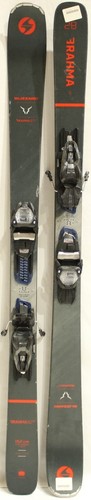 Blizzard brahma adult - 82, sp