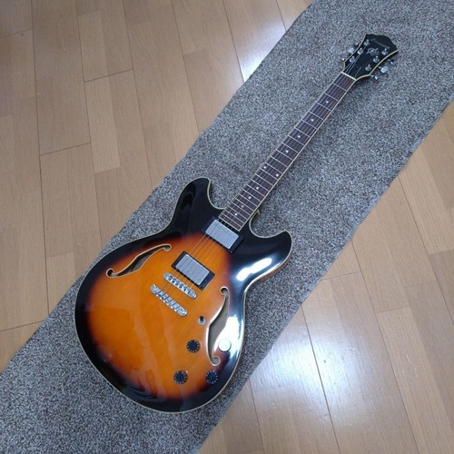 Acoustic electric guitar - acoustic,