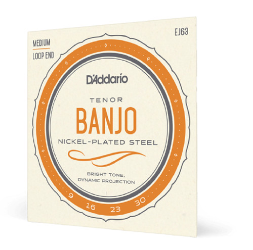 Addario ej63 tenor banjo - tenor,