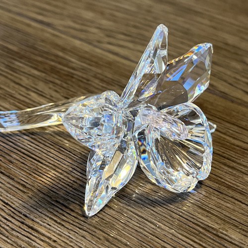 Swarovski crystal orchid - swarovski,