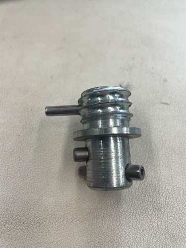 Electric eel model - eel, cable